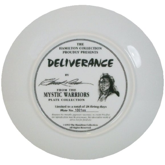 Hamilton Collection “Mystic Warrior Series” Indian Plate “Deliverence” - Picture 2 of 4